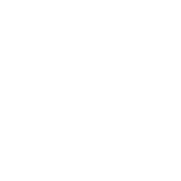 Venera Vision