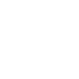 Venera Mission